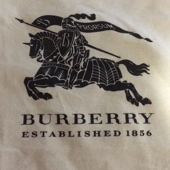 Burberry shoe dust bag - Picture 4 of 4